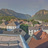 Miniaturansicht