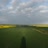 Miniaturansicht