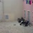 Miniaturansicht