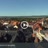 Miniaturansicht