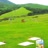Miniatiūra
