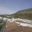 Miniatiūra