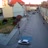 Miniaturansicht