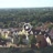 Miniaturansicht