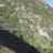 Miniaturansicht