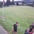 Miniaturansicht