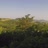 Miniatiūra