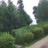 Miniatiūra