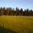 Miniaturansicht