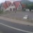 Miniaturansicht