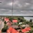Miniaturansicht