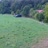 Miniaturansicht