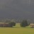 Miniaturansicht