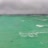 Miniatiūra