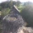 Miniatiūra