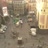 Miniaturansicht