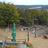 Miniaturansicht
