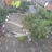 Miniaturansicht