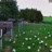 Miniaturansicht