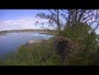 Smøla - Orle gniazdo