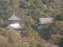 Iwade - Negoro Temple