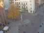 Rynek