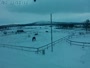 Kiruna - Granja de caballos