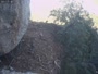 Nebrodi Mountains - Golden Eagle nest