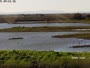 Riserva naturale dell'estuario del Tago