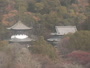 Iwade - Negoroji