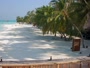 Meeru Island - Plaża