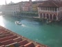 Venedig - Canal Grande