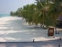 Meeru Island - Plaża