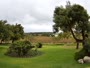 Stellenbosch - Raithby - Eikendal Vineyards