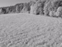 Medvode - Bonovec