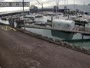 Fenit - Marina