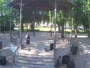 Karlovac - Padiglione della musica