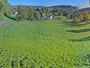 Feldkirchen-Westerham - Vagen - Wallner Alm