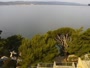 Brela - Bluesun hotel Soline - Vista panorámica