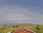 Root - Vista panorámica