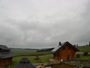 Oberharz am Brocken - Tanne