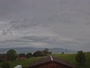Root - Panorama