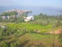 Nilüfer - Gölyazı