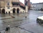 Rynek Główny