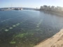 Buġibba - Baia di San Paolo
