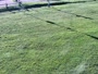 Nosal - Pista da sci