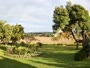Stellenbosch - Raithby - Eikendal Vineyards