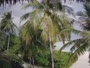 Akasdhoo - Hard Rock Hotel Maldives