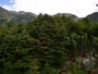 Tolminske Ravne - Planina Razor - Vogel