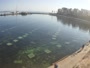Buġibba - Baie de Saint-Paul